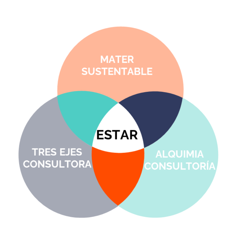 Alquimia consultoría tres ejes consultora mater sustentable